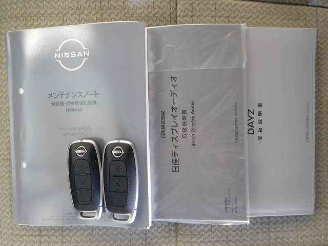 日産 デイズ ６６０ Ｘ R6年 (九州・沖縄) 99