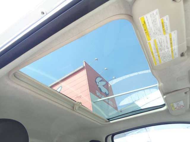 フィアット ５００（チンクエチェント） ツインエア ドルチェヴィータ R4年 (中国) 99