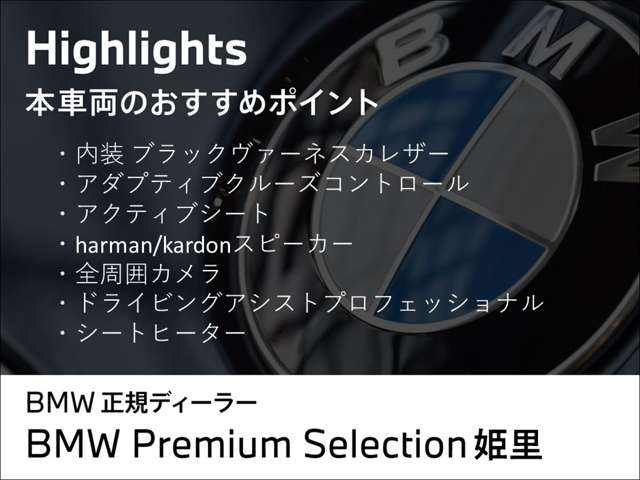 ＢＭＷ ｉＸ１ Ｘドライブ３０ Ｘライン ４ＷＤ R6年 () 99