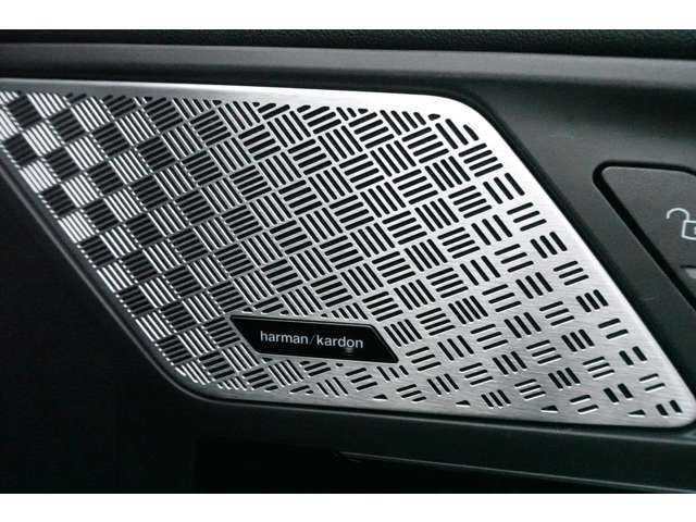 ＢＭＷ ｉＸ１ Ｘドライブ３０ Ｘライン ４ＷＤ R6年 () 99