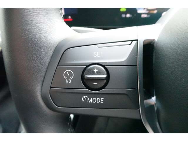 ＢＭＷ ｉＸ１ Ｘドライブ３０ Ｘライン ４ＷＤ R6年 () 99