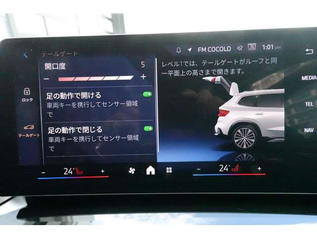 ＢＭＷ ｉＸ１ Ｘドライブ３０ Ｘライン ４ＷＤ R6年 () 99