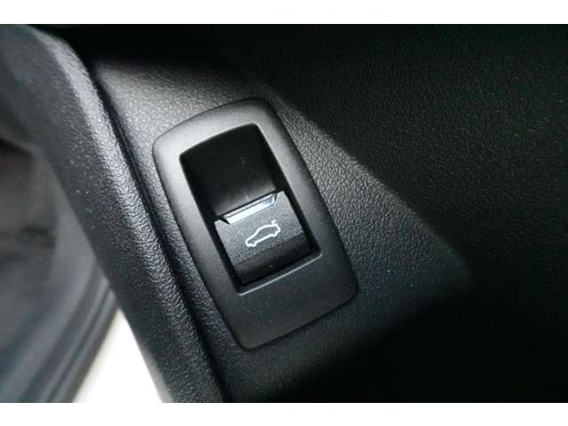 ＢＭＷ ｉＸ１ Ｘドライブ３０ Ｘライン ４ＷＤ R6年 () 99