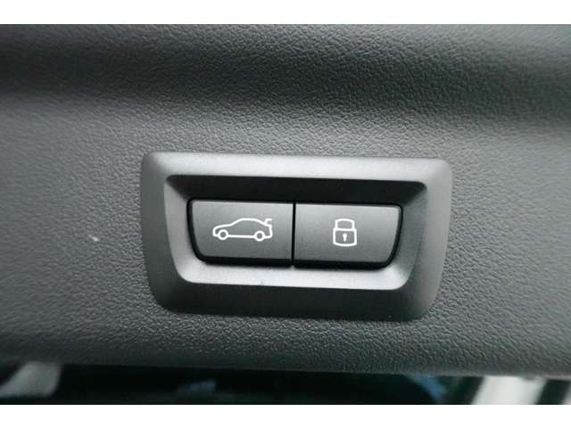 ＢＭＷ ｉＸ１ Ｘドライブ３０ Ｘライン ４ＷＤ R6年 () 99