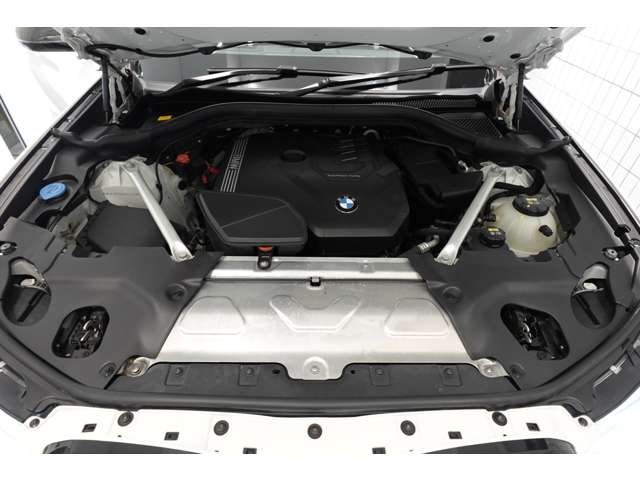 ＢＭＷ Ｘ４ Ｘドライブ３０Ｉ Ｍスポーツ ４ＷＤ R2年 (近畿) 99