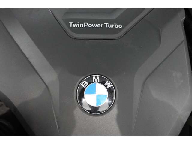 ＢＭＷ Ｘ４ Ｘドライブ３０Ｉ Ｍスポーツ ４ＷＤ R2年 (近畿) 99