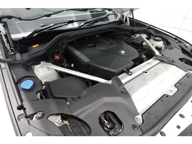 ＢＭＷ Ｘ４ Ｘドライブ３０Ｉ Ｍスポーツ ４ＷＤ R2年 (近畿) 99