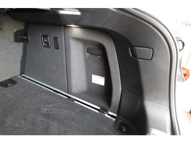 ＢＭＷ Ｘ４ Ｘドライブ３０Ｉ Ｍスポーツ ４ＷＤ R2年 (近畿) 99