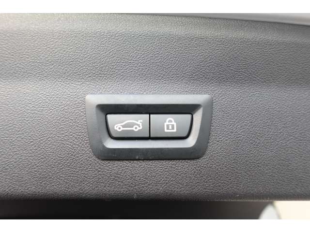 ＢＭＷ Ｘ４ Ｘドライブ３０Ｉ Ｍスポーツ ４ＷＤ R2年 (近畿) 99