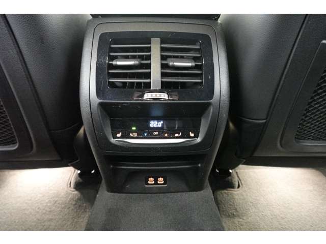 ＢＭＷ Ｘ４ Ｘドライブ３０Ｉ Ｍスポーツ ４ＷＤ R2年 (近畿) 99