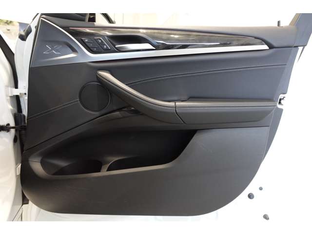 ＢＭＷ Ｘ４ Ｘドライブ３０Ｉ Ｍスポーツ ４ＷＤ R2年 (近畿) 99