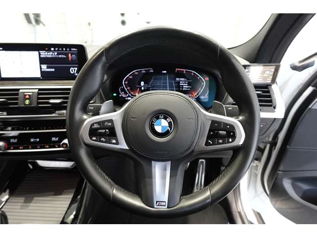 ＢＭＷ Ｘ４ Ｘドライブ３０Ｉ Ｍスポーツ ４ＷＤ R2年 (近畿) 99