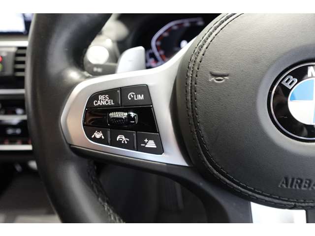 ＢＭＷ Ｘ４ Ｘドライブ３０Ｉ Ｍスポーツ ４ＷＤ R2年 (近畿) 99