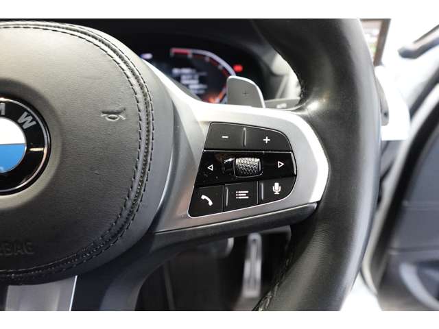 ＢＭＷ Ｘ４ Ｘドライブ３０Ｉ Ｍスポーツ ４ＷＤ R2年 (近畿) 99