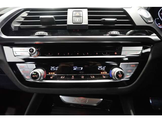 ＢＭＷ Ｘ４ Ｘドライブ３０Ｉ Ｍスポーツ ４ＷＤ R2年 (近畿) 99