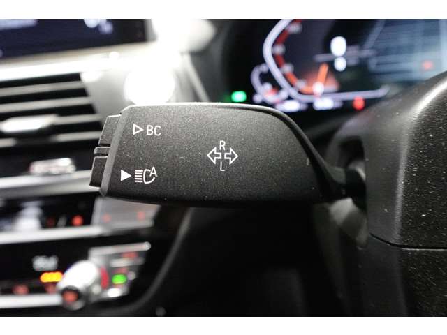 ＢＭＷ Ｘ４ Ｘドライブ３０Ｉ Ｍスポーツ ４ＷＤ R2年 (近畿) 99