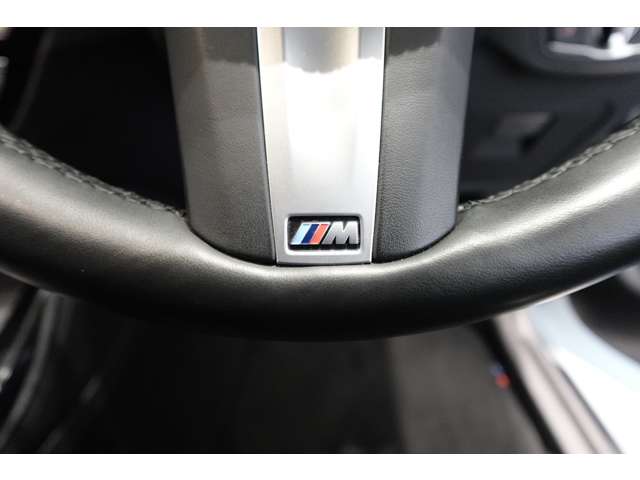 ＢＭＷ Ｘ４ Ｘドライブ３０Ｉ Ｍスポーツ ４ＷＤ R2年 (近畿) 99