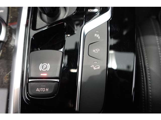 ＢＭＷ Ｘ４ Ｘドライブ３０Ｉ Ｍスポーツ ４ＷＤ R2年 (近畿) 99