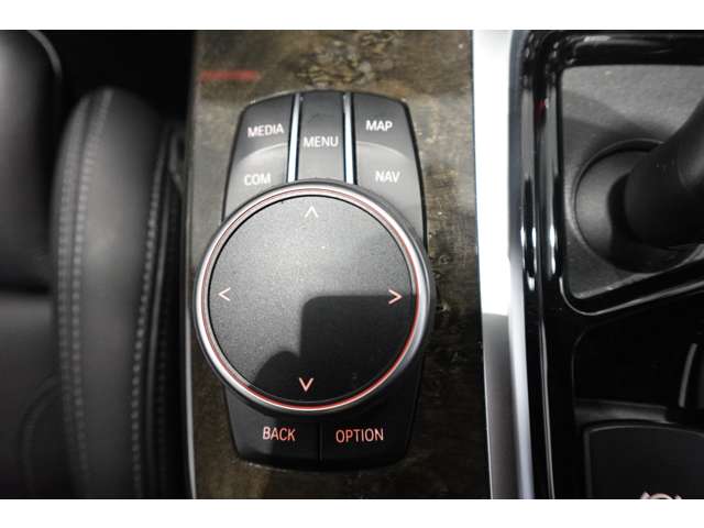 ＢＭＷ Ｘ４ Ｘドライブ３０Ｉ Ｍスポーツ ４ＷＤ R2年 (近畿) 99