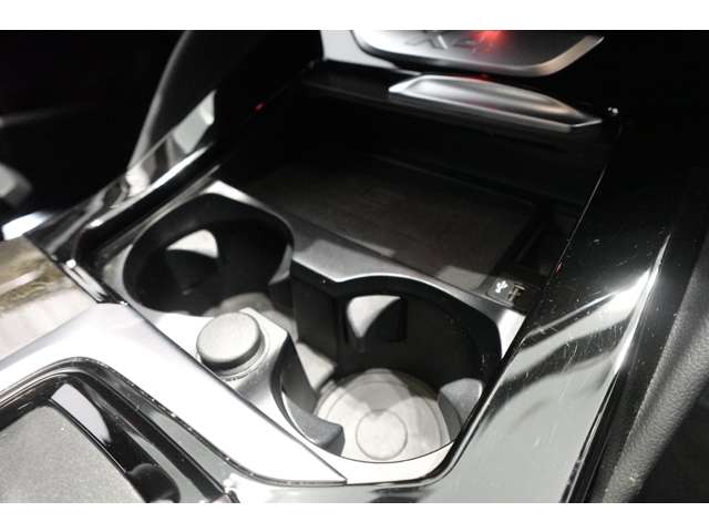 ＢＭＷ Ｘ４ Ｘドライブ３０Ｉ Ｍスポーツ ４ＷＤ R2年 (近畿) 99