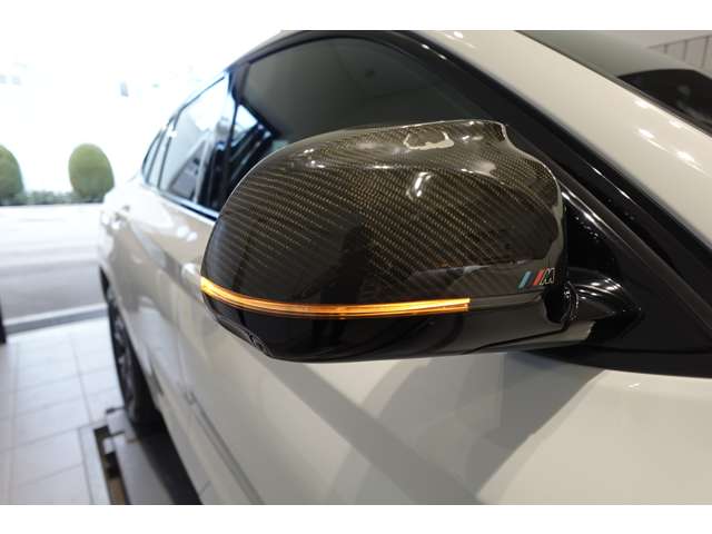 ＢＭＷ Ｘ４ Ｘドライブ３０Ｉ Ｍスポーツ ４ＷＤ R2年 (近畿) 99