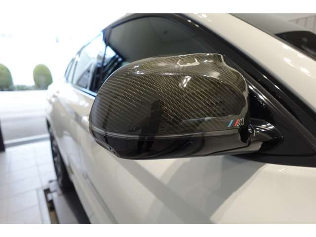 ＢＭＷ Ｘ４ Ｘドライブ３０Ｉ Ｍスポーツ ４ＷＤ R2年 (近畿) 99