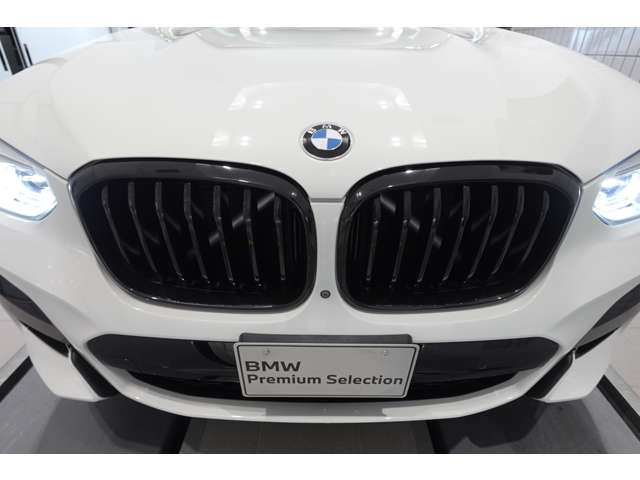 ＢＭＷ Ｘ４ Ｘドライブ３０Ｉ Ｍスポーツ ４ＷＤ R2年 (近畿) 99