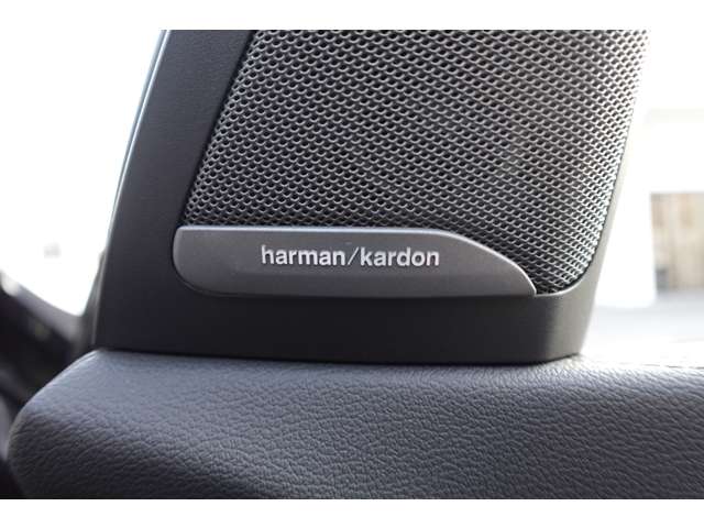 ＢＭＷ Ｘ５ Ｘドライブ ４０Ｄ Ｍスポーツ ４ＷＤ R4年 (近畿) 99