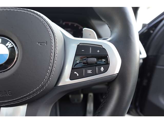 ＢＭＷ Ｘ５ Ｘドライブ ４０Ｄ Ｍスポーツ ４ＷＤ R4年 (近畿) 99