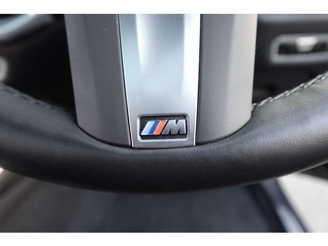 ＢＭＷ Ｘ５ Ｘドライブ ４０Ｄ Ｍスポーツ ４ＷＤ R4年 (近畿) 99