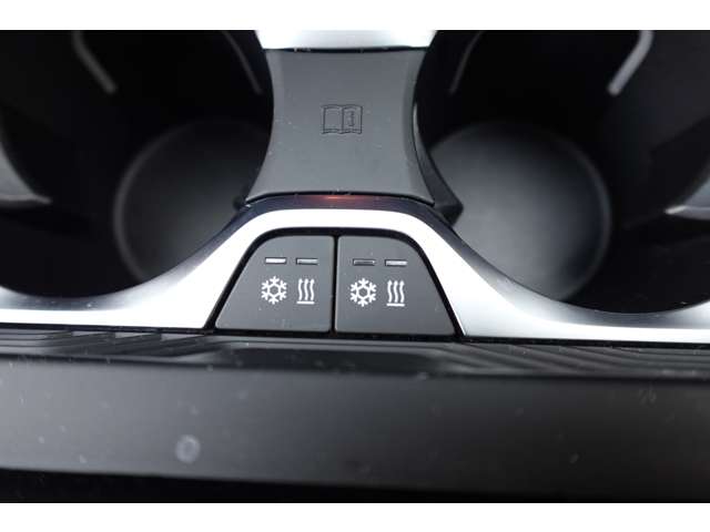 ＢＭＷ Ｘ５ Ｘドライブ ４０Ｄ Ｍスポーツ ４ＷＤ R4年 (近畿) 99