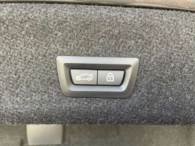 ＢＭＷ ３シリーズ ３２０ｉ　Ｍスポーツ R2年 (近畿) 99