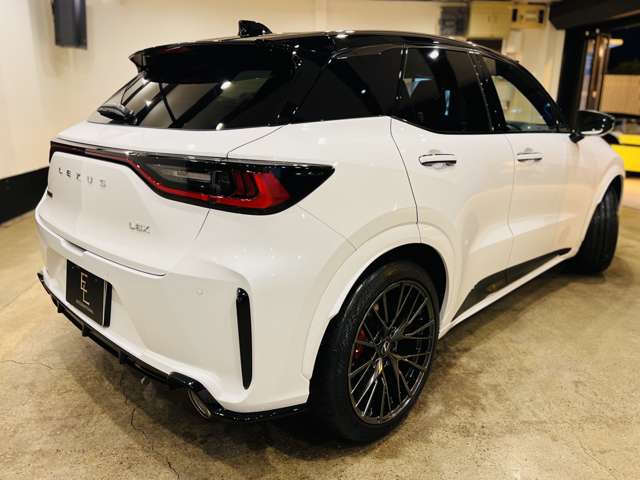 レクサス ＬＢＸ モリゾウ ＲＲ ４ＷＤ R7年 (東海) 99