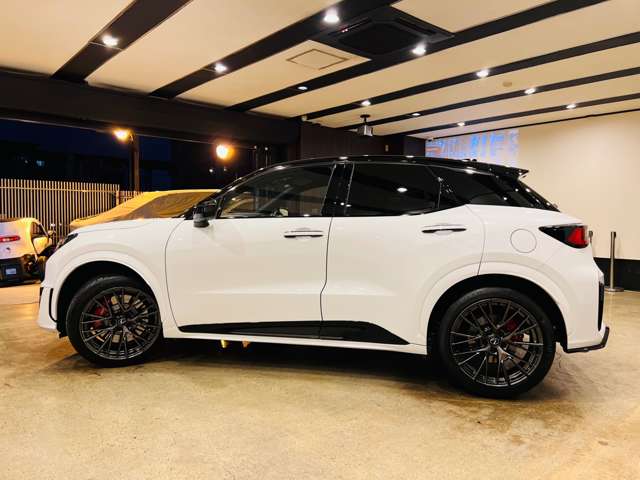 レクサス ＬＢＸ モリゾウ ＲＲ ４ＷＤ R7年 (東海) 99