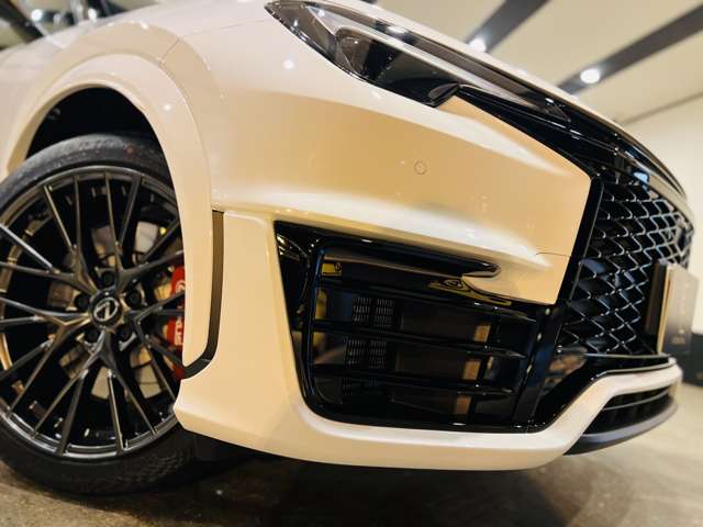 レクサス ＬＢＸ モリゾウ ＲＲ ４ＷＤ R7年 (東海) 99