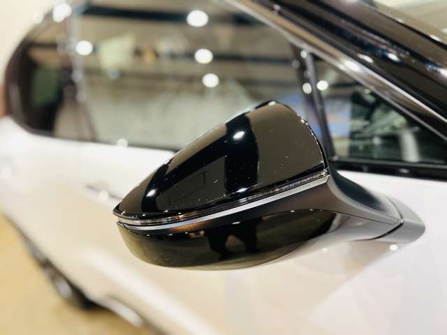 レクサス ＬＢＸ モリゾウ ＲＲ ４ＷＤ R7年 (東海) 99