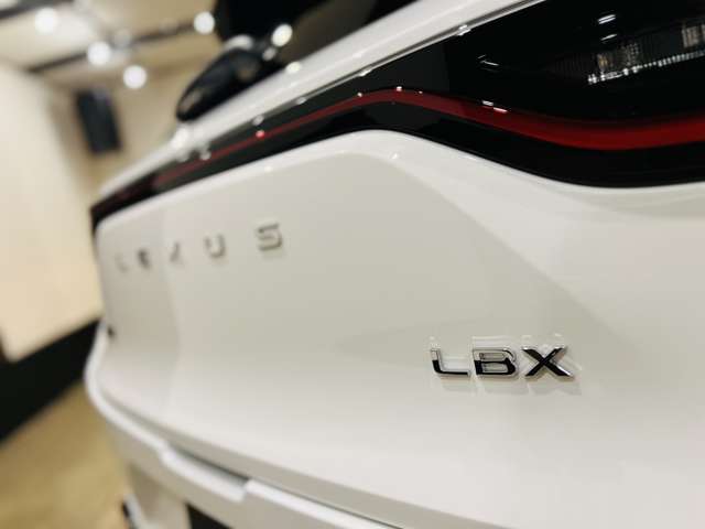 レクサス ＬＢＸ モリゾウ ＲＲ ４ＷＤ R7年 (東海) 99