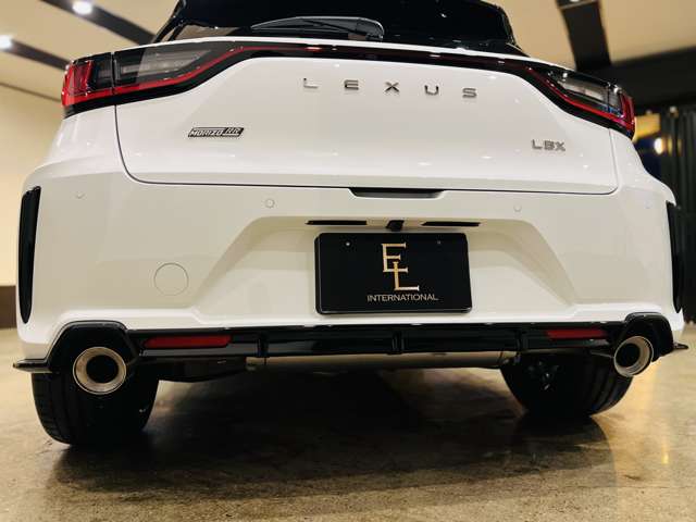 レクサス ＬＢＸ モリゾウ ＲＲ ４ＷＤ R7年 (東海) 99