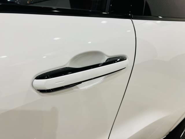 レクサス ＬＢＸ モリゾウ ＲＲ ４ＷＤ R7年 (東海) 99