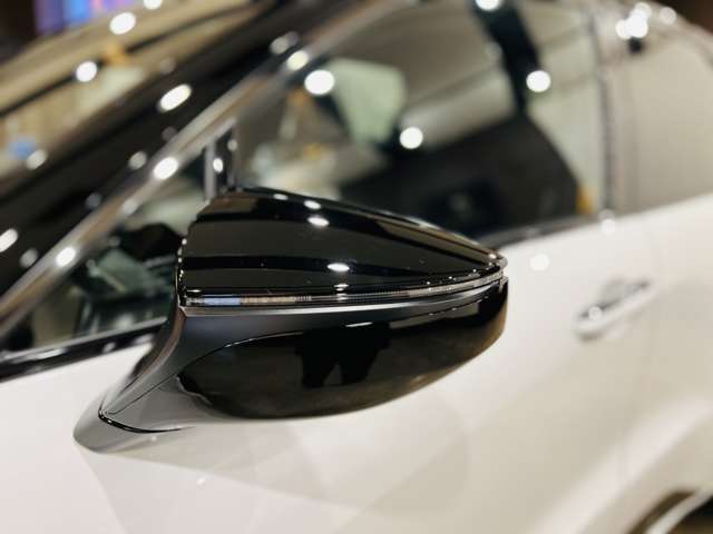 レクサス ＬＢＸ モリゾウ ＲＲ ４ＷＤ R7年 (東海) 99