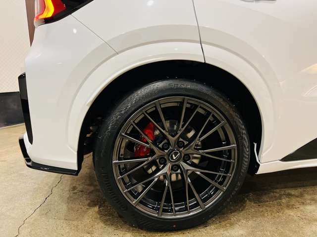 レクサス ＬＢＸ モリゾウ ＲＲ ４ＷＤ R7年 (東海) 99