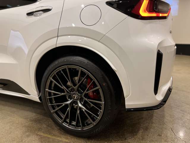 レクサス ＬＢＸ モリゾウ ＲＲ ４ＷＤ R7年 (東海) 99