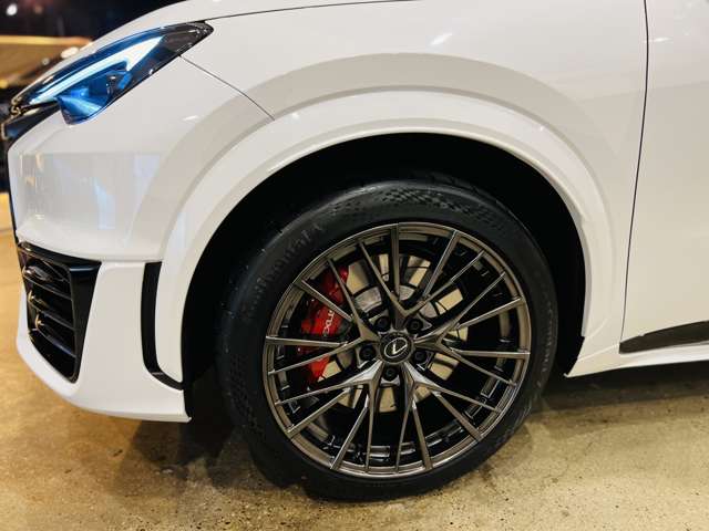 レクサス ＬＢＸ モリゾウ ＲＲ ４ＷＤ R7年 (東海) 99