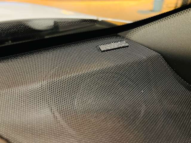 レクサス ＬＢＸ モリゾウ ＲＲ ４ＷＤ R7年 (東海) 99