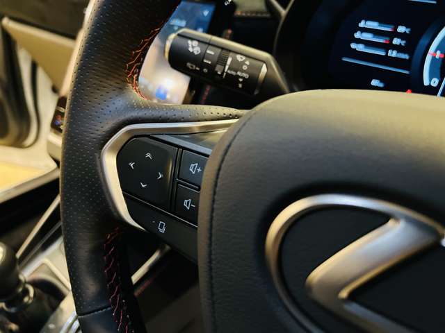 レクサス ＬＢＸ モリゾウ ＲＲ ４ＷＤ R7年 (東海) 99