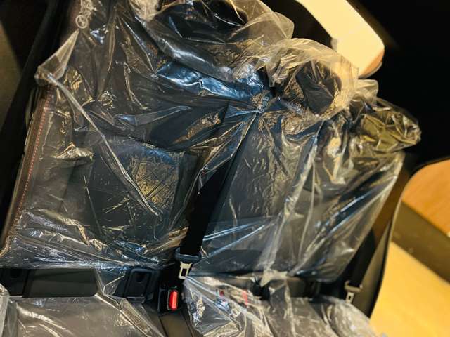 レクサス ＬＢＸ モリゾウ ＲＲ ４ＷＤ R7年 (東海) 99