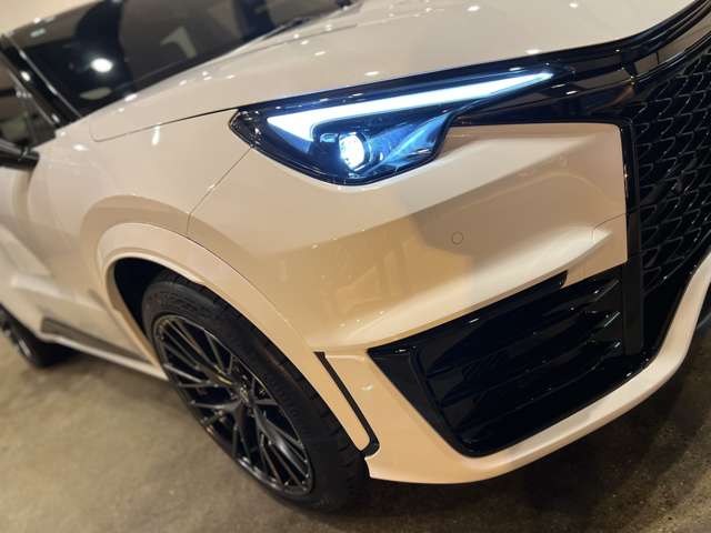 レクサス ＬＢＸ モリゾウ ＲＲ ４ＷＤ R7年 (東海) 99