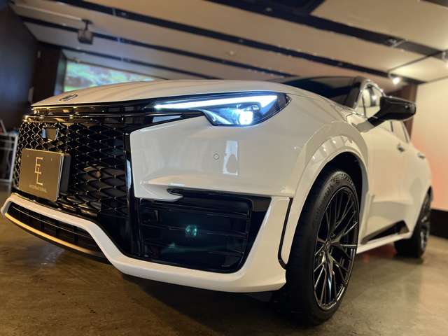 レクサス ＬＢＸ モリゾウ ＲＲ ４ＷＤ R7年 (東海) 99