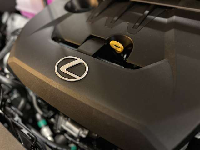 レクサス ＬＢＸ モリゾウ ＲＲ ４ＷＤ R7年 (東海) 99