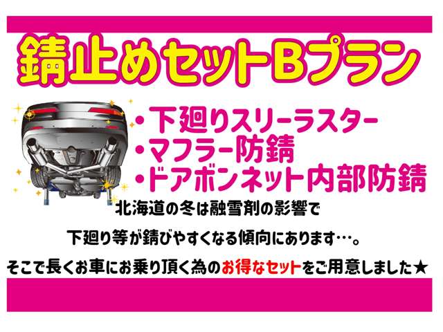 スズキ アルト ６６０ Ｇ ４ＷＤ H22年 (北海道) 99
